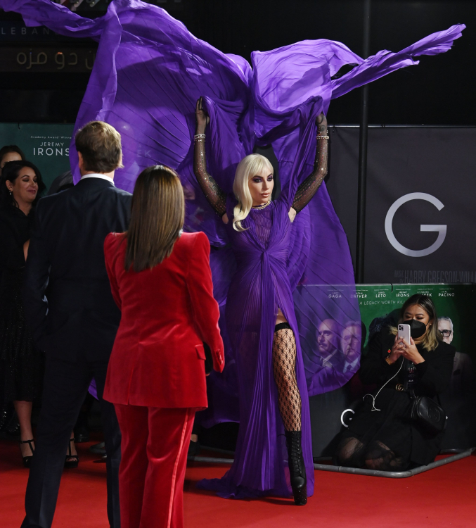 238.jpg