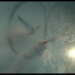 Filename=0158.jpg
Filesize=619KiB
Dimensions=2048x1152
Date added=Sep 05, 2025 0158.jpg