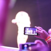 014.jpg