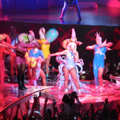 082.jpg