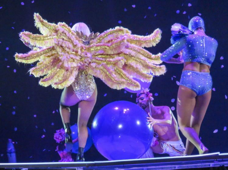 005.jpg