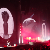 181.jpg